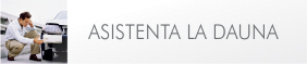 asistenta dauna